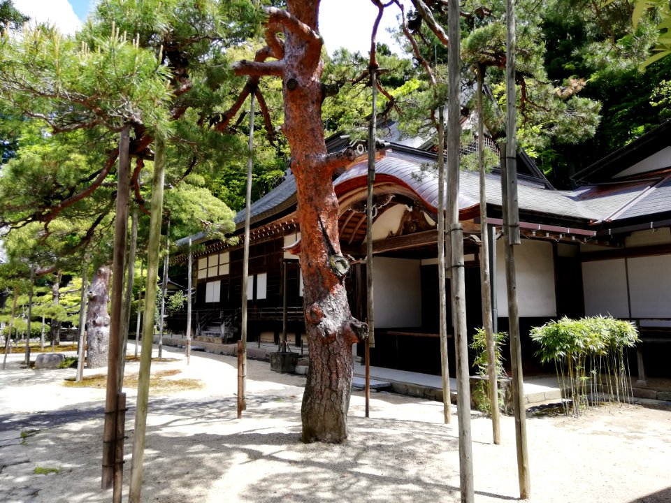 Ryōtakuzan Zenshō-ji Temple 20210503 07