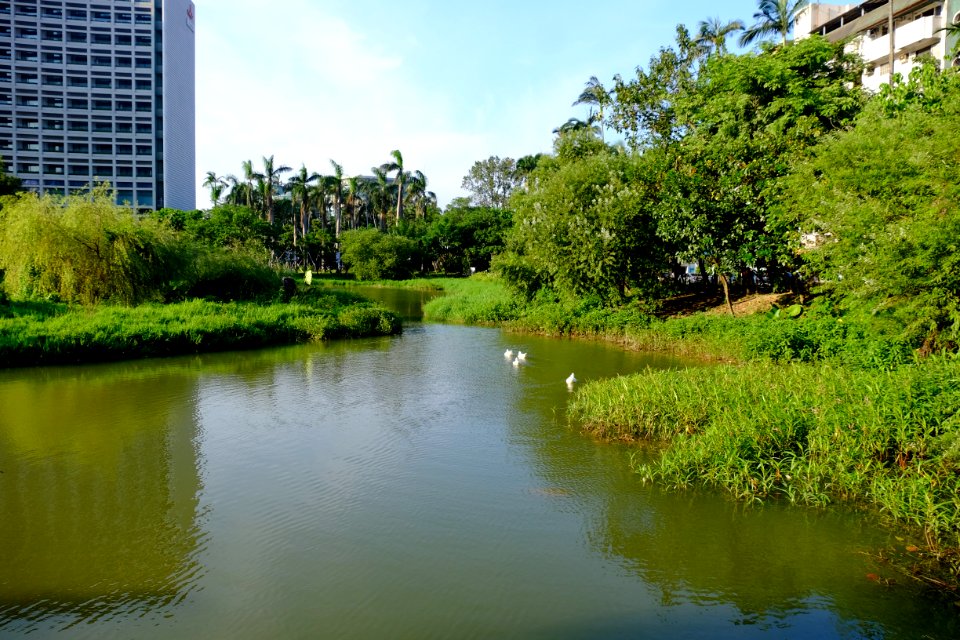 Songshan Cultural and Creative Park Pond in Autumn Time 20150918d