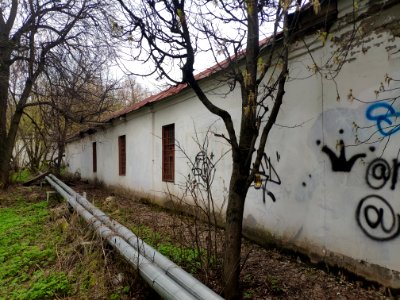 Stables of Altufyevo Estate - 2021-05-02 - p2