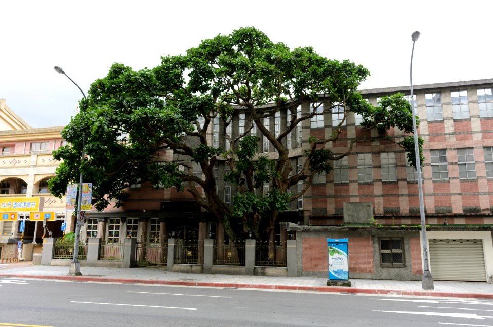 Songshan Elementary School View from Section 4, Bade Road, Taipei 20160610c