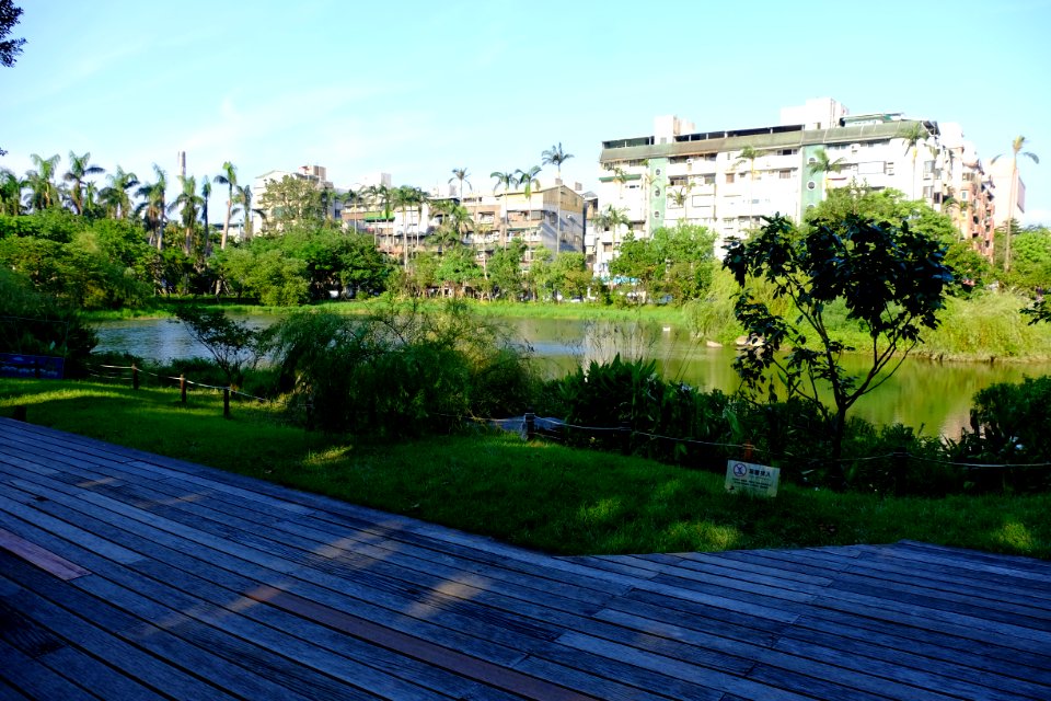 Songshan Cultural and Creative Park Pond in Autumn Time 20150918f