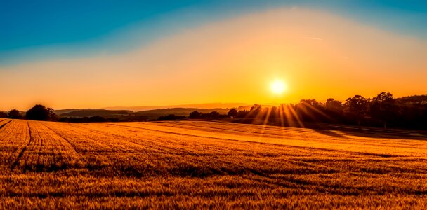 Agriculture farm sunrise photo