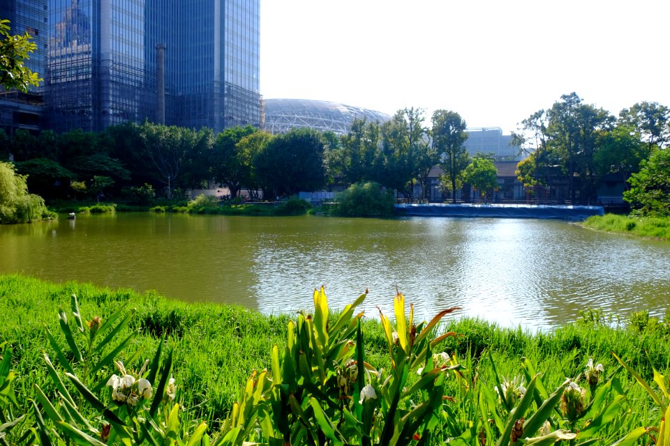 Songshan Cultural and Creative Park Pond in Autumn Time 20150918b
