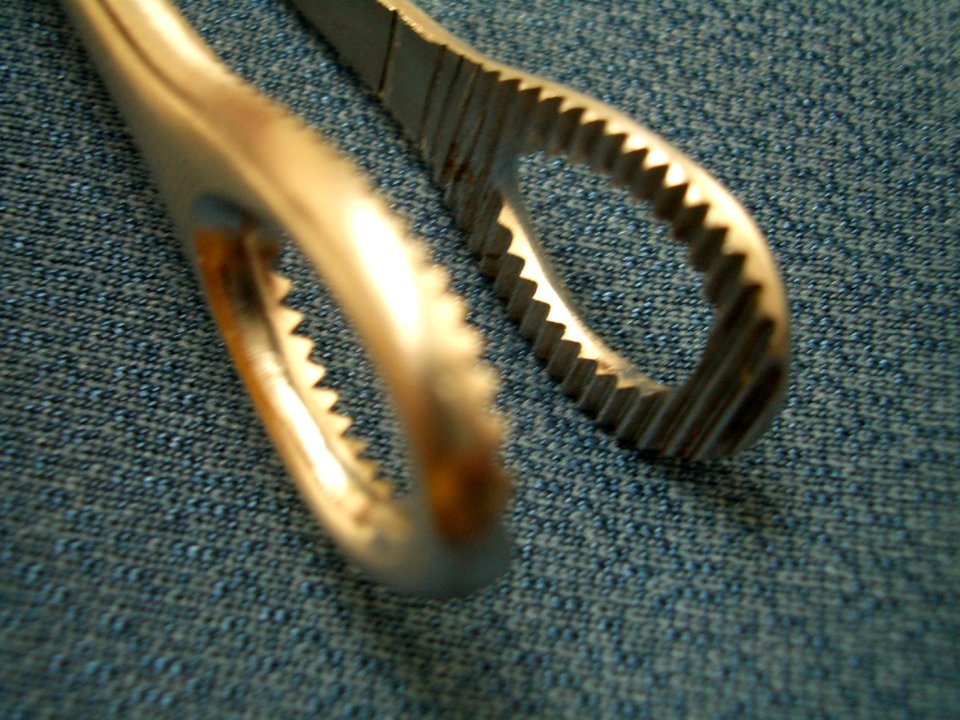 Sponge Rampley Forceps Clamp 03