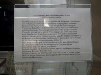Stadtmuseum Meißen Ausstellung Bild 08