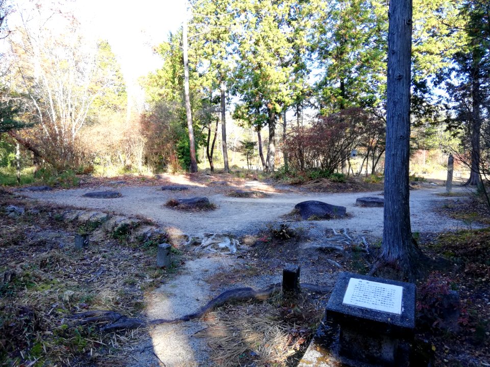 Shigaraki Palace Site (Dairino) 20201115 23