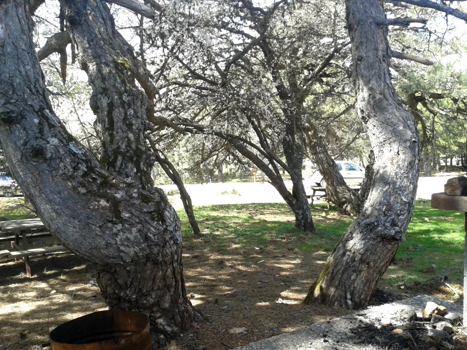 Spil Dağı Milli Parkı - 08