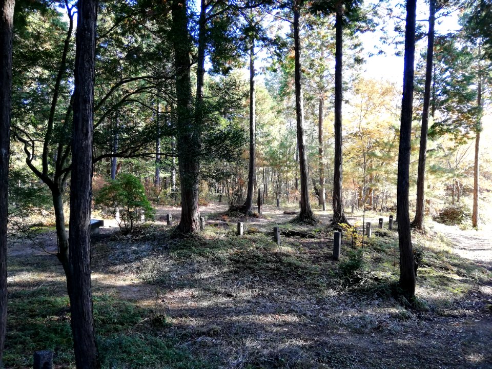 Shigaraki Palace Site (Dairino) 20201115 16