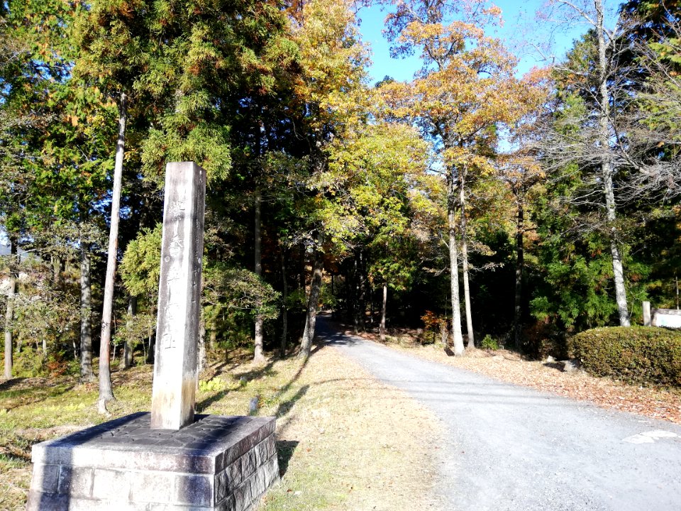 Shigaraki Palace Site (Dairino) 20201115 03