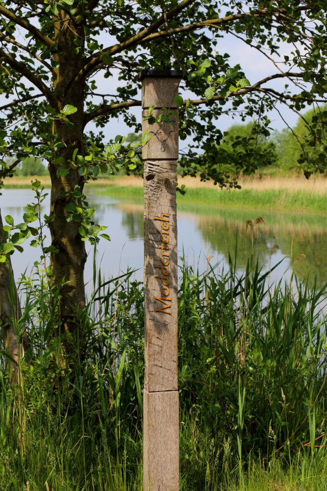 Spreeauen Teiche Modderteich 02
