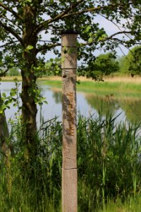 Spreeauen Teiche Modderteich 02