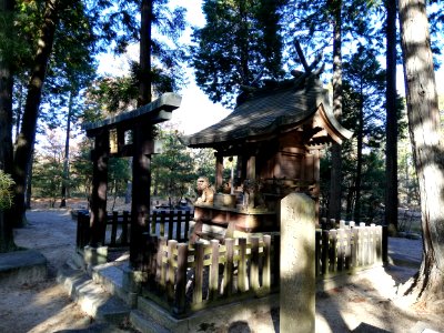Shigaraki Palace Site (Dairino) 20201115 15