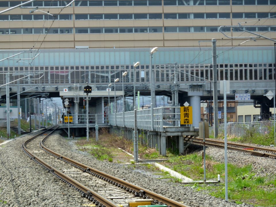 Shinaomori sta home