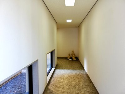 Shiga Safari Museum 20201115 44