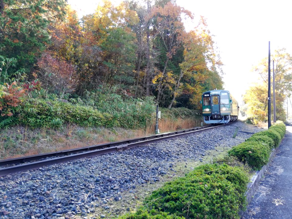 Shigaraki Kohgen Railway SKR501 ‘ワンマン’ (20111509561)