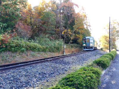 Shigaraki Kohgen Railway SKR501 ‘ワンマン’ (20111509561)