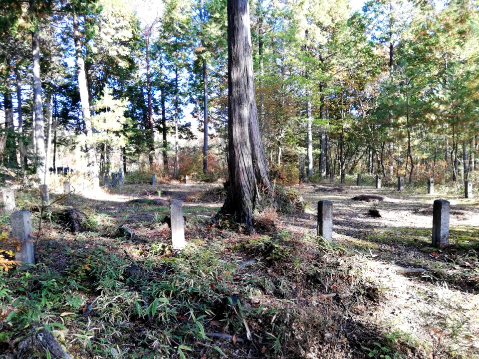 Shigaraki Palace Site (Dairino) 20201115 19