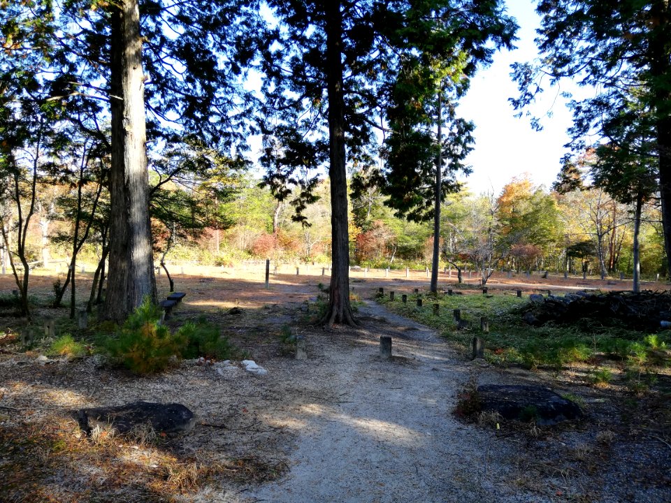 Shigaraki Palace Site (Dairino) 20201115 24
