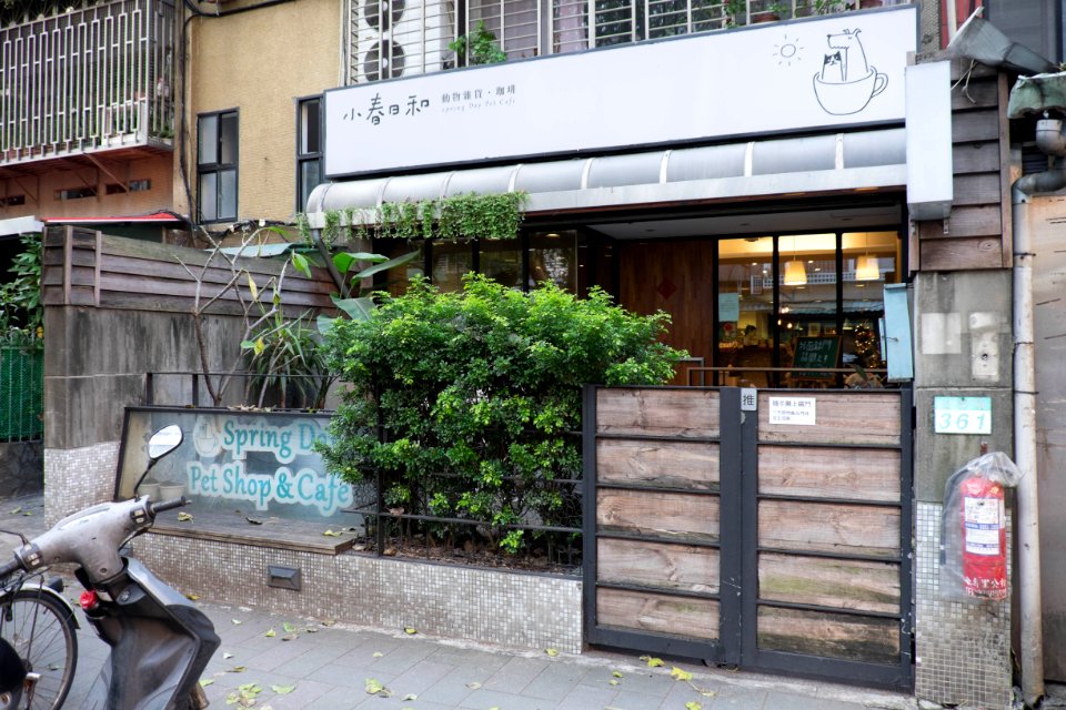 Spring Day Pet Shop & Coffee 20141224