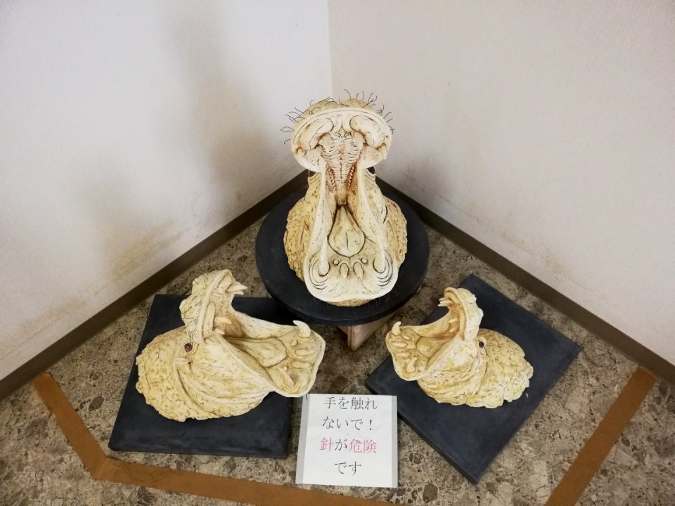 Shiga Safari Museum 20201115 45