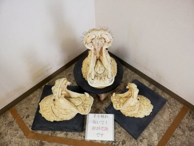 Shiga Safari Museum 20201115 45