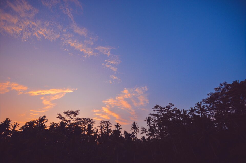 Clouds trees silhouette photo