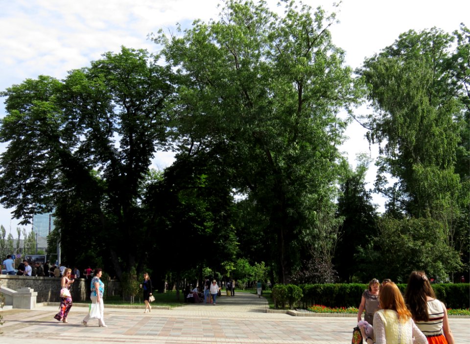 Shevchenko park Kiev13