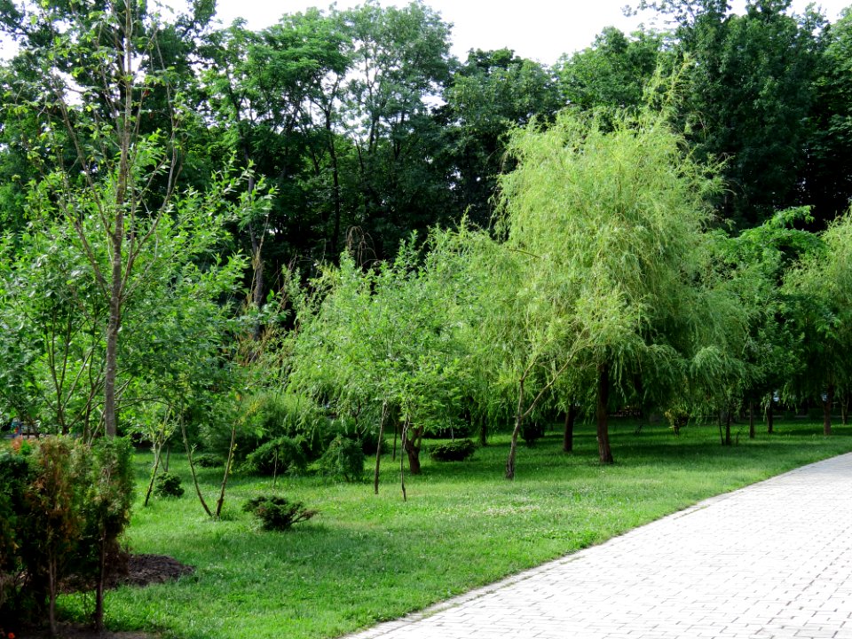 Shevchenko park Kiev12