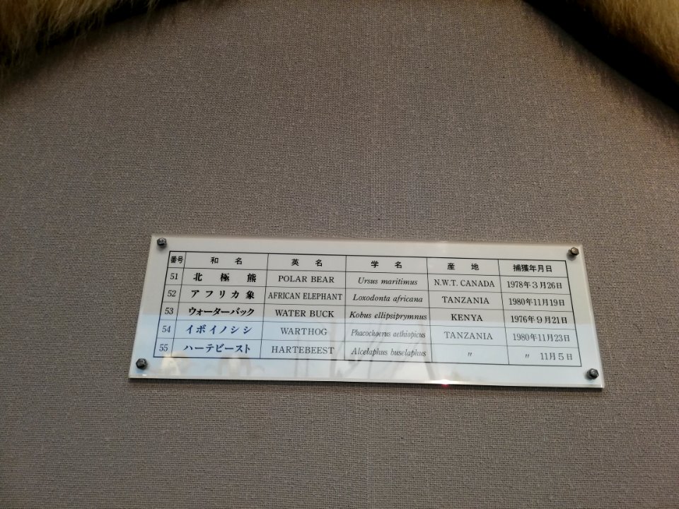 Shiga Safari Museum 20201115 31