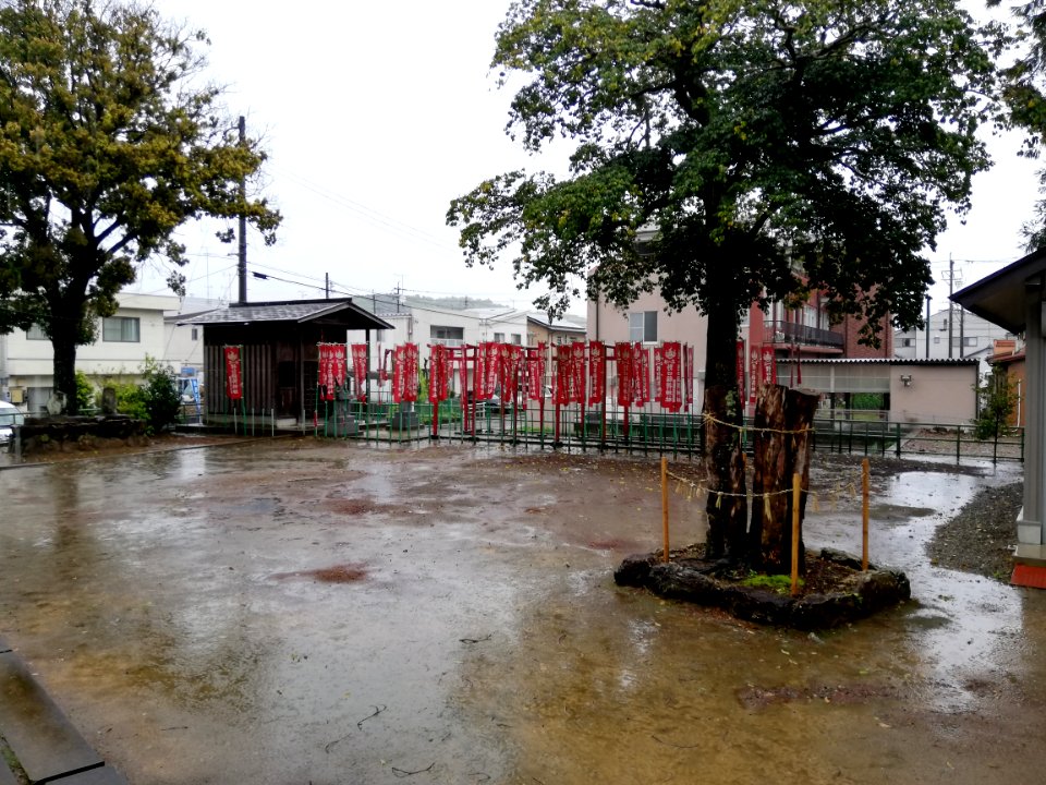 Shinmei Shrine (Sohara Noguchichō) 20210417 04