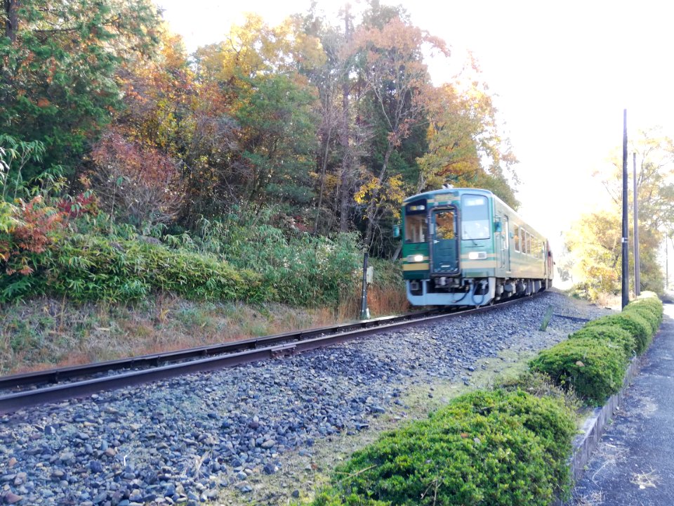 Shigaraki Kohgen Railway SKR501 ‘ワンマン’ (20111509565)