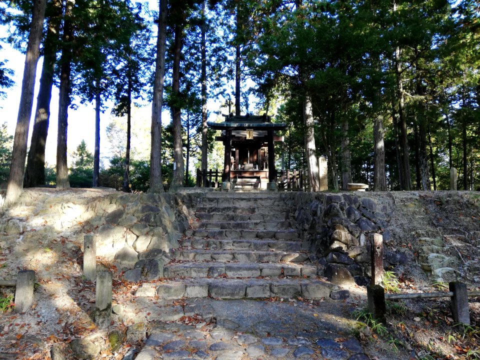 Shigaraki Palace Site (Dairino) 20201115 11