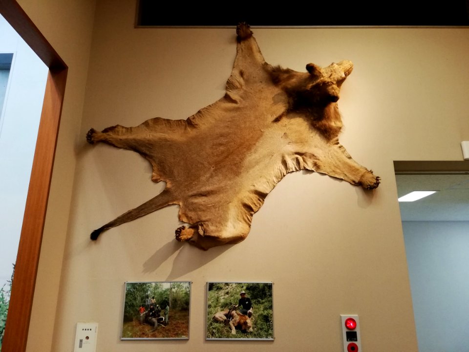 Shiga Safari Museum 20201115 46