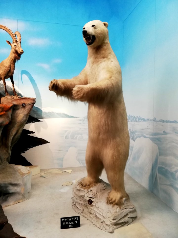 Shiga Safari Museum 20201115 16
