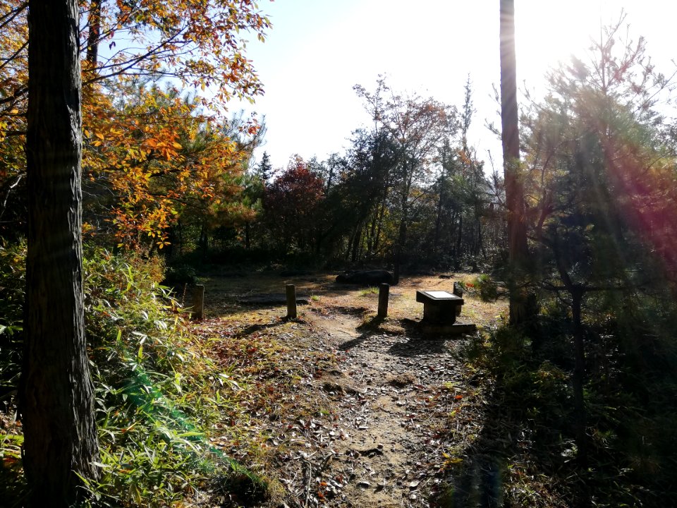 Shigaraki Palace Site (Dairino) 20201115 20