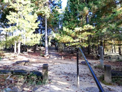 Shigaraki Palace Site (Dairino) 20201115 09