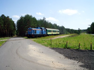 SM42 Swiecko forest road