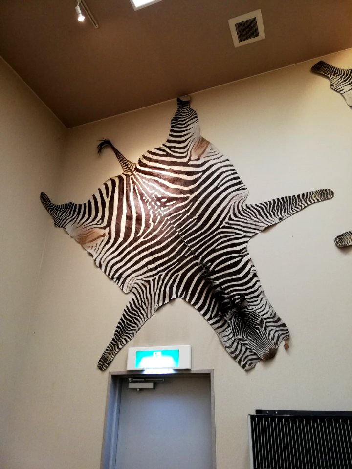 Shiga Safari Museum 20201115 59