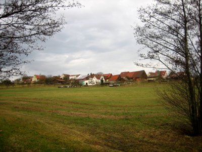 Siebenknie
