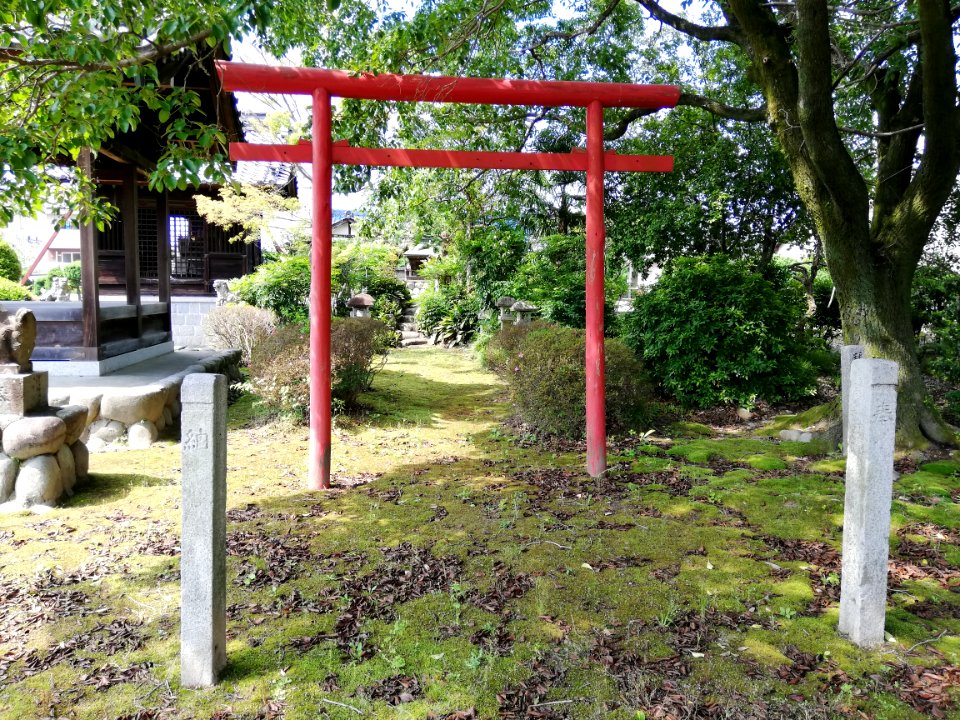 Shinmei Shrine (Kawashima Matsukuramachi) 20210529 07