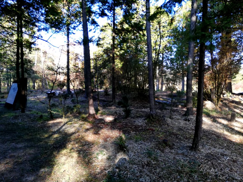 Shigaraki Palace Site (Dairino) 20201115 22