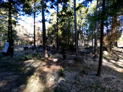 Shigaraki Palace Site (Dairino) 20201115 22