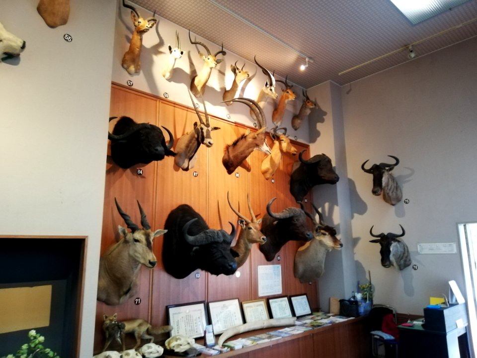 Shiga Safari Museum 20201115 35