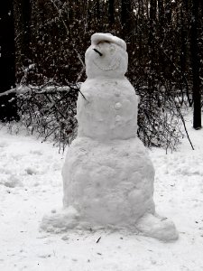 Snowman Vasya