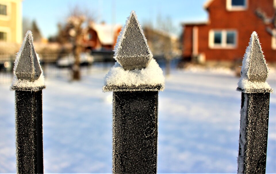 Wrought winter snow