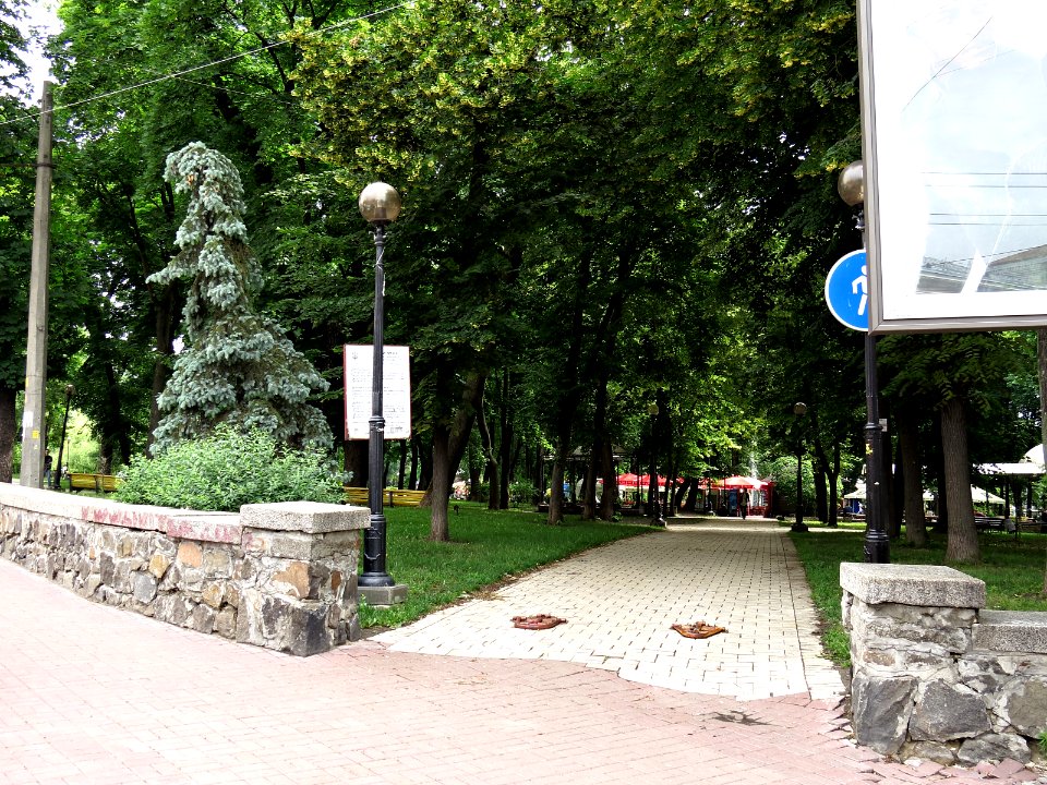 Shevchenko park Kiev10
