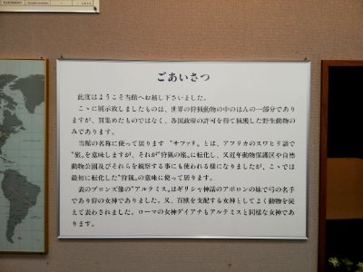 Shiga Safari Museum 20201115 33
