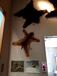 Shiga Safari Museum 20201115 19