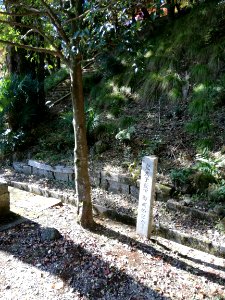 Shiotsu Shrine 20201119 12