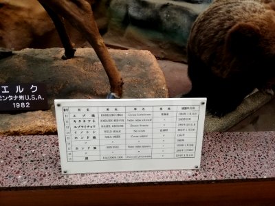 Shiga Safari Museum 20201115 12